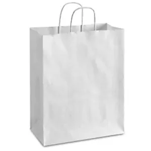 10 '' x 5 '' x 13 '' White Paper Bags 250/case