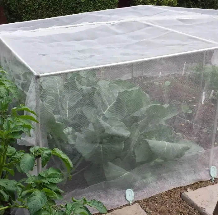 700mm Erected Height x 900mm Width - No Netting - Vaious Lengths