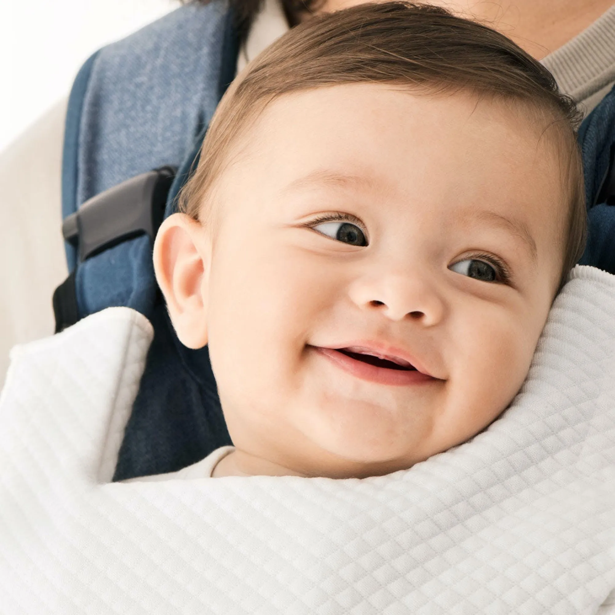 BabyBjorn Baby Carrier One Bib