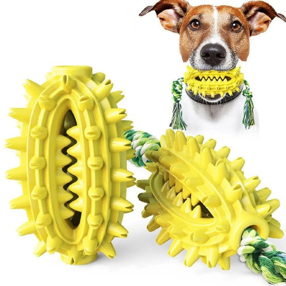 Cactus Shaped Dog Chew Toy With Cotton Rope