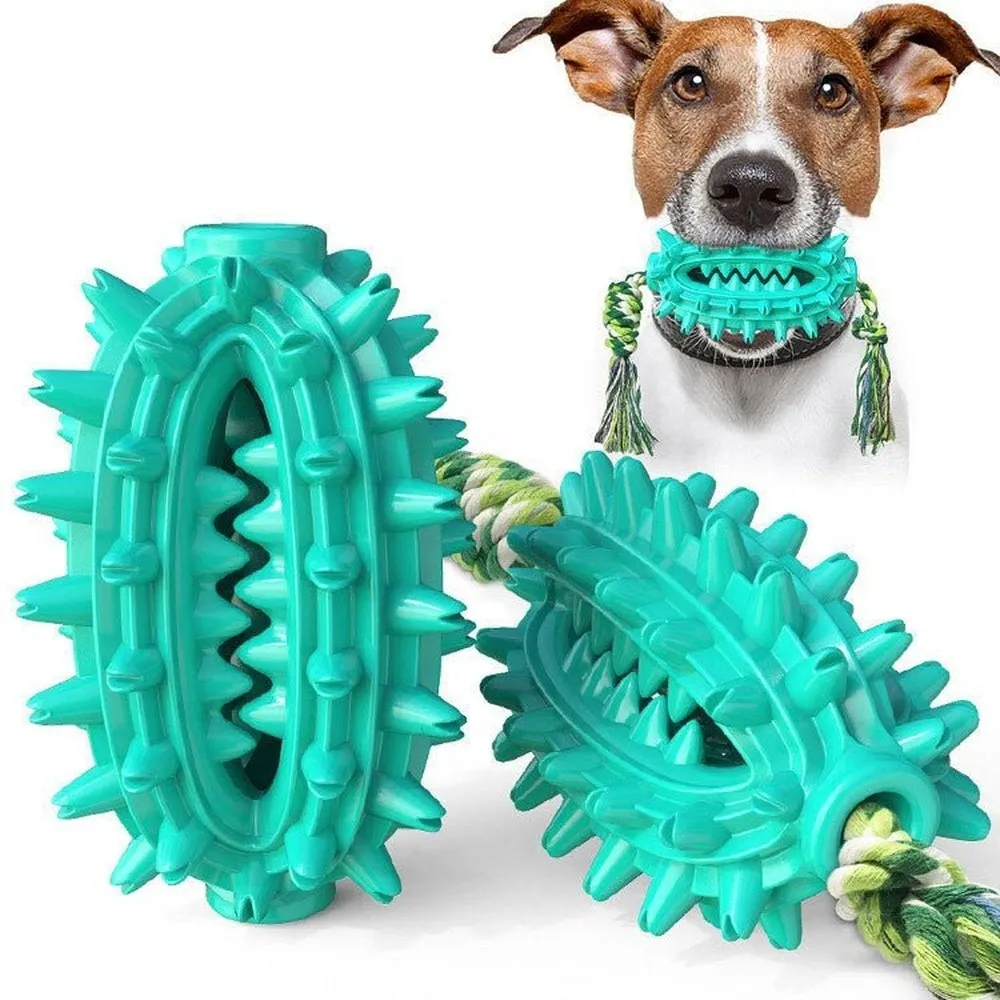 Cactus Shaped Dog Chew Toy With Cotton Rope