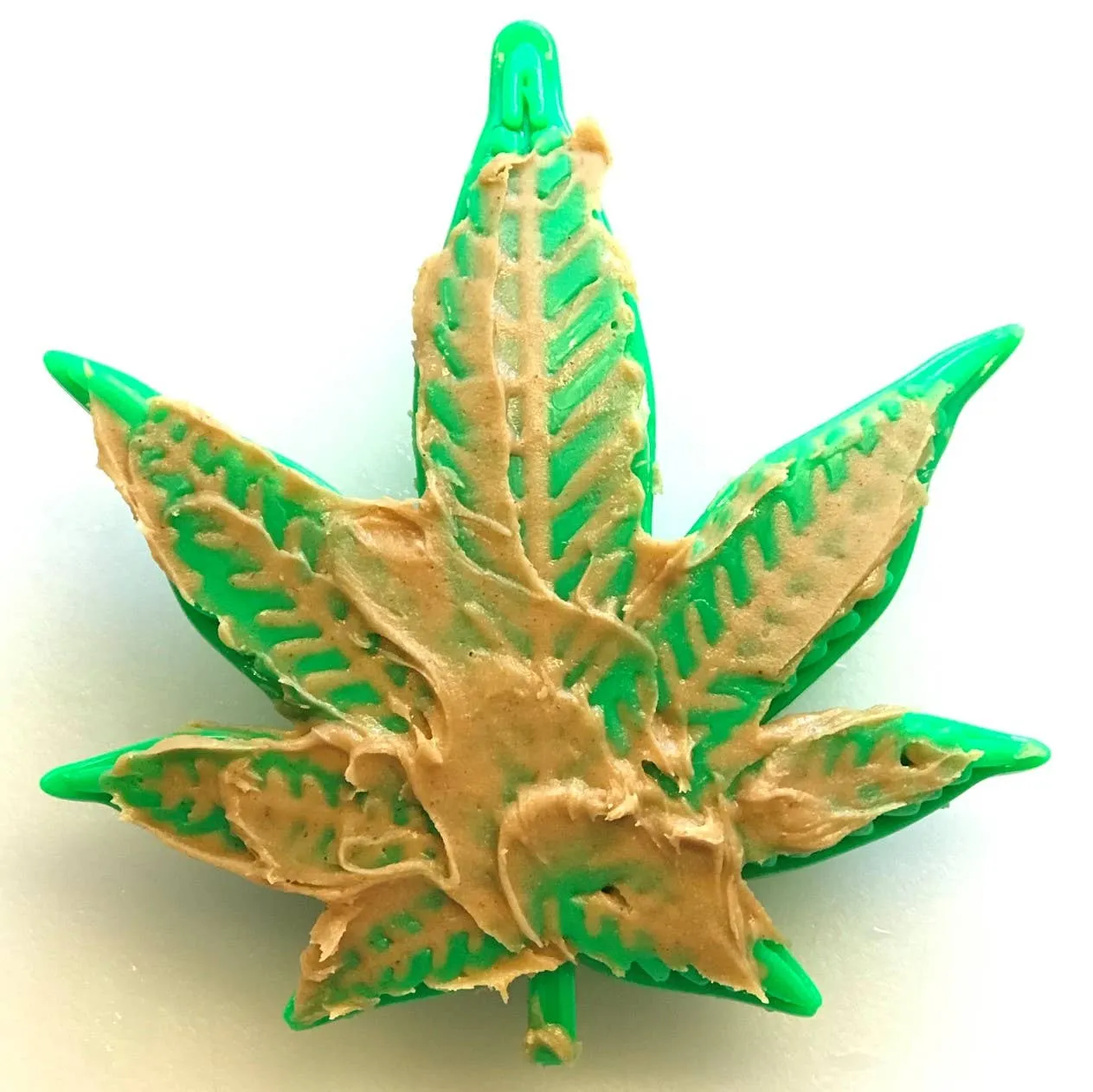 Colorado "Maple Leaf"