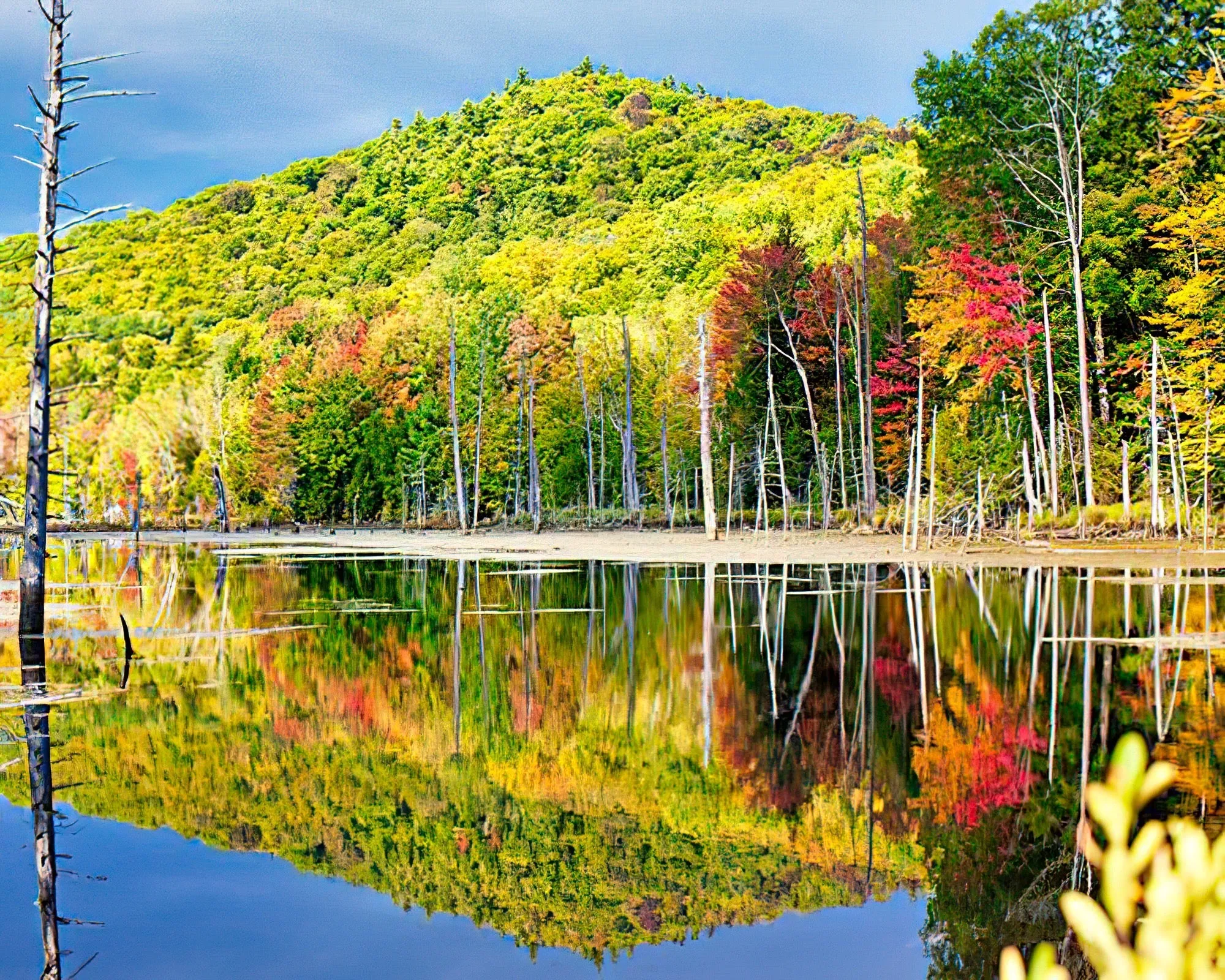 Evergreen Valley Resort and Villas