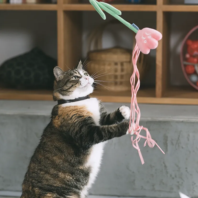 Flowers With Strings Teaser Wand Toy for Cats
