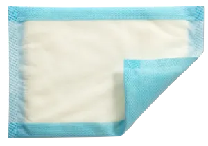 Mesorb Absorbent Dressing
