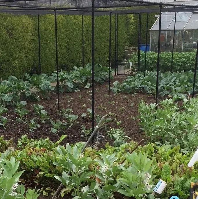 Premium Fruit Cage Height 1.9m - Green Soft Butterfly Netting - Various Sizes